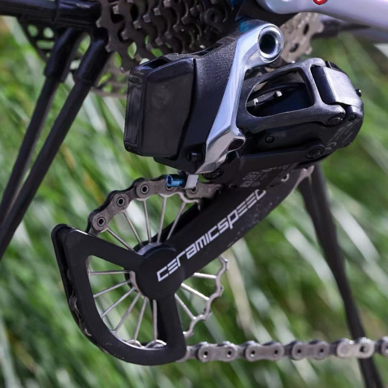 SRAM AXS Carbon Rear Derailleur for D1 and E1