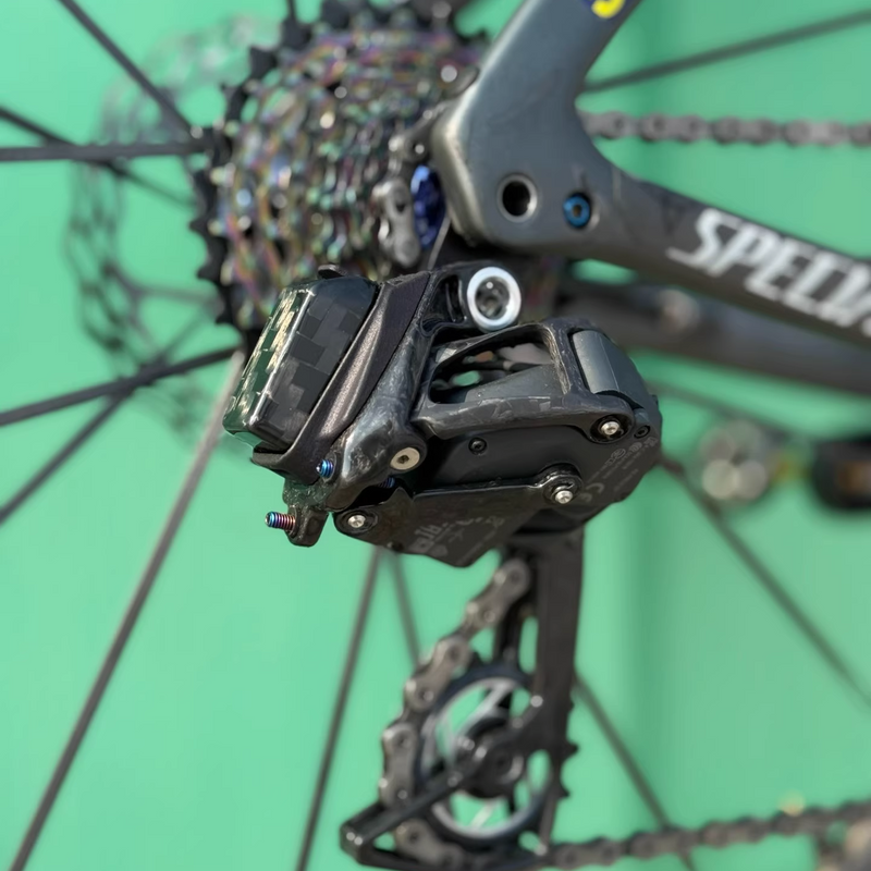 SRAM AXS Carbon Rear Derailleur for D1 and E1