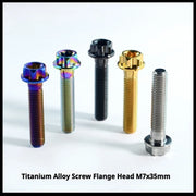 Titanium Seatpost Repair Bolt Kit for Specialized Tarmac SL8, Giant TCR, Darimo Seatposts, Pinarello Dogma, and Propel