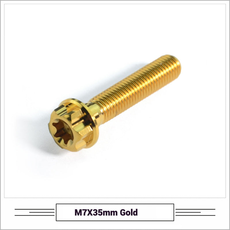 Titanium Seatpost Repair Bolt Kit — M5 / M6 / M7 — Tarmac SL8, Giant TCR, Darimo, Pinarello & Propel