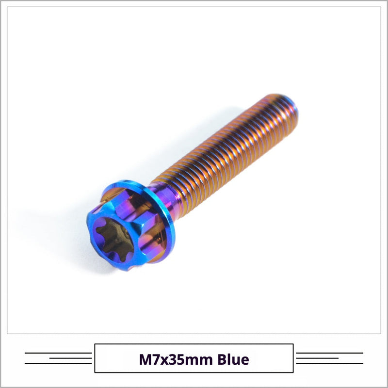 Titanium Seatpost Repair Bolt Kit — M5 / M6 / M7 — Tarmac SL8, Giant TCR, Darimo, Pinarello & Propel