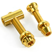 Titanium Seatpost Repair Bolt Kit — M5 / M6 / M7 — Tarmac SL8, Giant TCR, Darimo, Pinarello & Propel
